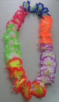 collarhawai